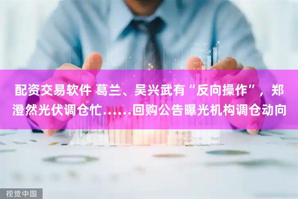 配资交易软件 葛兰、吴兴武有“反向操作”，郑澄然光伏调仓忙……回购公告曝光机构调仓动向