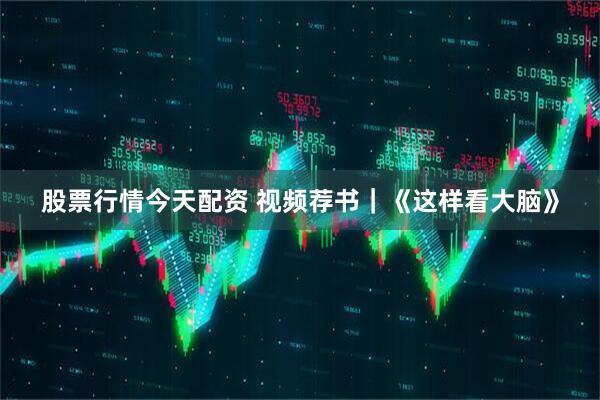 股票行情今天配资 视频荐书｜《这样看大脑》
