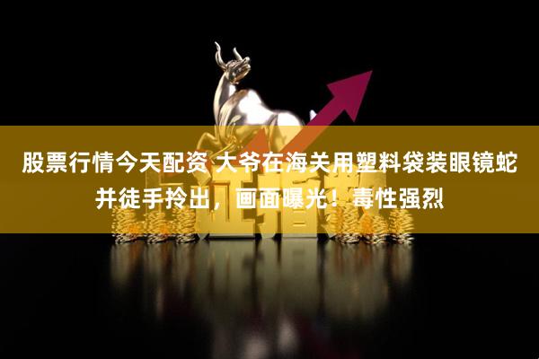 股票行情今天配资 大爷在海关用塑料袋装眼镜蛇并徒手拎出，画面曝光！毒性强烈