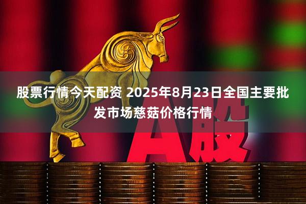股票行情今天配资 2025年8月23日全国主要批发市场慈菇价格行情